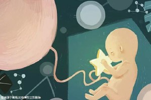关于瑞柏国际医院